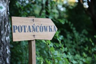 Pierwsza potańcówka w lubelskim skansenie w wakacje 2024!