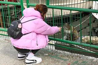 Ewa Swoboda zwiedzała Stambuł