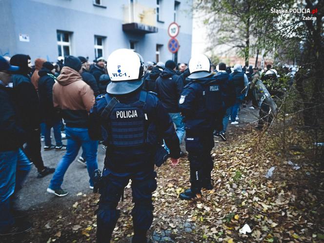 Policyjne interwencje podczas meczu Górnik Zabrze - Legia Warszawa