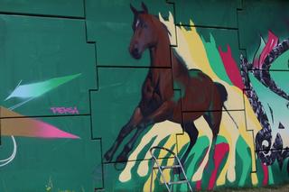 Festiwal Meeting of Styles 2023 w Lublinie