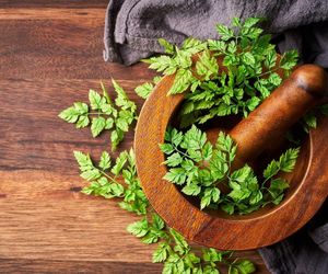 Wspomaga trawienie, wzmacnia odporność i dodaje smaku. Trybula to nowy superfood 