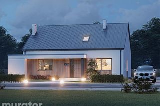 Projekt domu A113 Dobry wybór