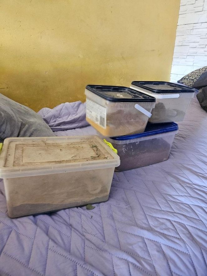 Szarlatan z Pruszkowa żerował na chorych. "Leczył" na wszystko, a leki robił w słoiku!