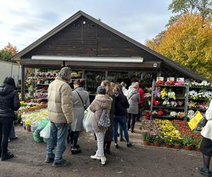 Wszystkich Świętych 2023 Cmentarz Centralny Szczecin 