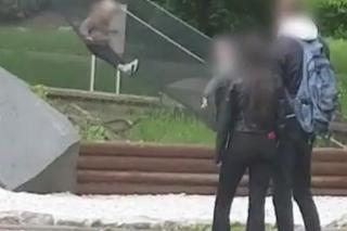 Szokujące sceny w zoo! Dziecko zjeżdżało po wybiegu, rodzice na wszystko patrzyli