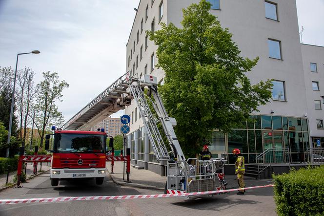 Atak pszczół na Bemowie! Rójka przy Urzędzie Dzielnicy.