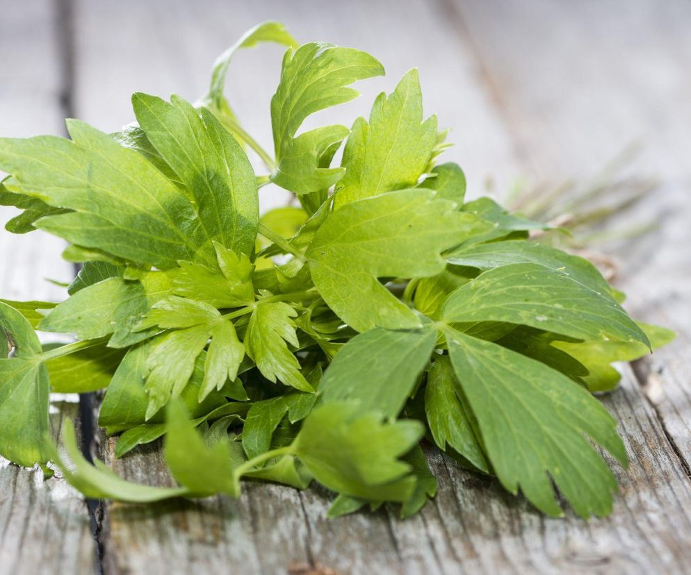 Pasta lubczykowa na zimę, czyli przepis na domowe maggi