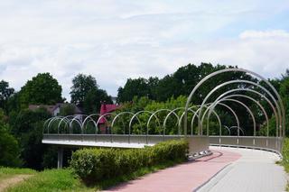 Wakacyjny spacer pod kładką nad wąwozem na Czubach. To jedno z najbardziej zielonych miejsc w Lublinie!