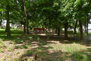  To on zaatakował kobietę w Parku Glazja