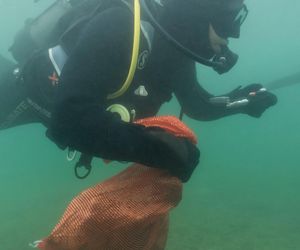 jezioro Tarnobrzeskie Niezwykła akcja płetwonurków