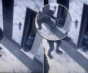 Horror w wieżowcu! 2-latek nagle oparł się o windę i wpadł do szybu. Wszystko na oczach rodziców!