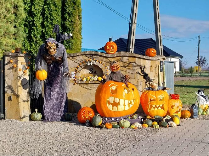 U Łukasza z Pawłowa hasło "cukierek albo psikus" nabiera innego wymiaru. Najbardziej halloweenowy dom świętokrzyskiego