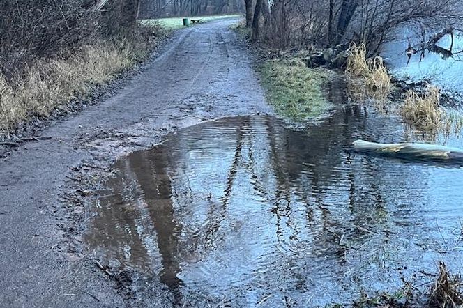 Ścieżki wokół Rusałki czeka renowacja