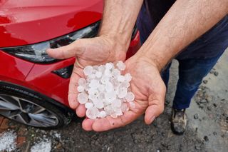 Nie ma już czego zbierać. Grad i burze zniszczyły jabłka, czereśnie i truskawki. Sadownik: Nie wiem, jak opisać te uszkodzenia