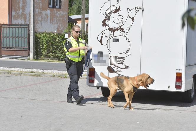 Do poszukiwań Dawidka zostały włączone specjalne psy niemieckiej policji