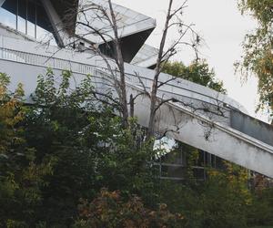 Hala Arena Poznań - zobacz zdjęcia historycznego budynku z niepewną przyszłością