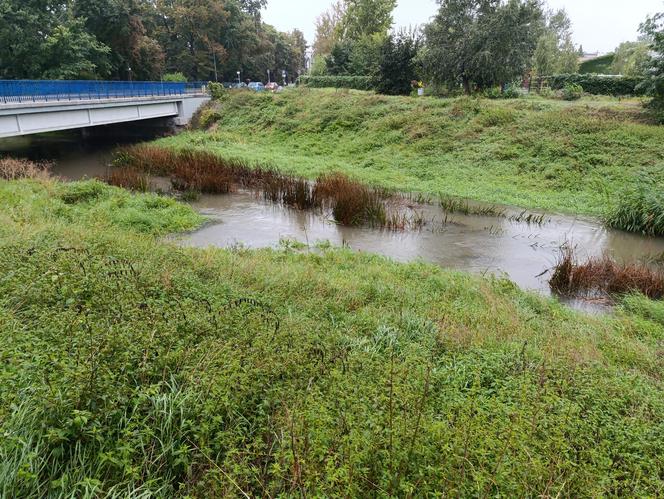 Niż genueński Borys. Wrocław walczy z wielką wodą