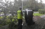 Toruń: Ford Mondeo wylądował na drzewie. Kierowca miał mnóstwo szczęścia