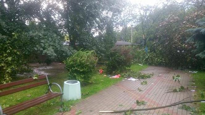 Skutki burzy w Rzeszowie