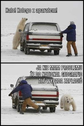 Najlepsze memy z białym misiem z Krupówek!