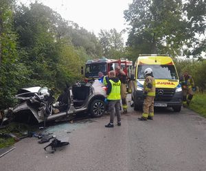 Samochód z czteroosobową rodziną uderzył w drzewo. Tragiczny wypadek na trasie Górowo Iławeckie – Kamińsk