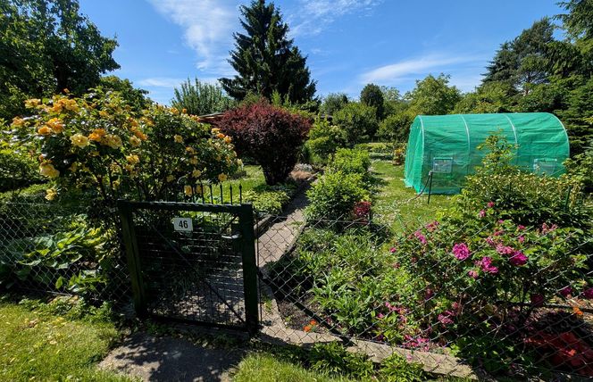 Do zabicia przyznał się podczas spowiedzi. Pobił Monikę tak mocno, że złamał sobie rękę