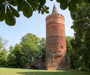 Wieża widokowa Golczewo 