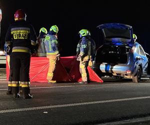 Tragiczny wypadek pod Warszawą. Chciał ominąć psy, roztrzaskał się o słup. Nie żyje