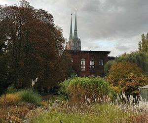 Ogród Botaniczny we Wrocławiu