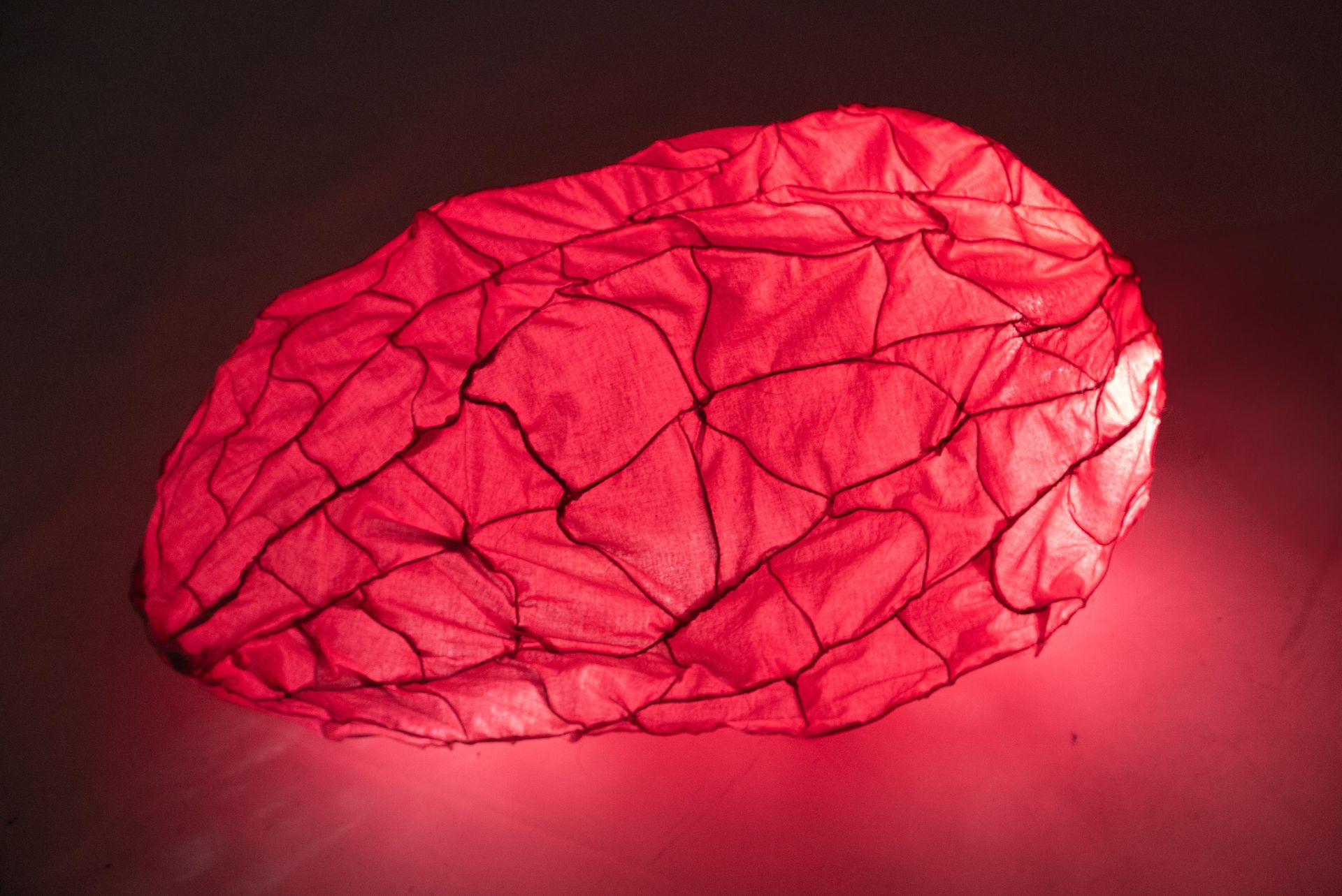 Różem migocze mokradło - dyplom magisterski proj. Gabriela Piwar