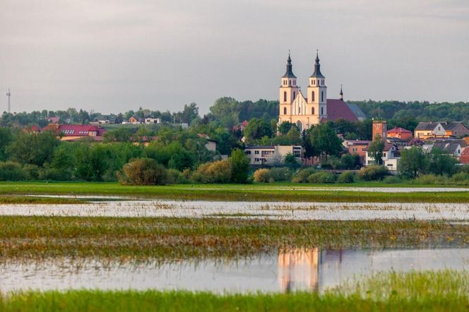Powiat łomżyński