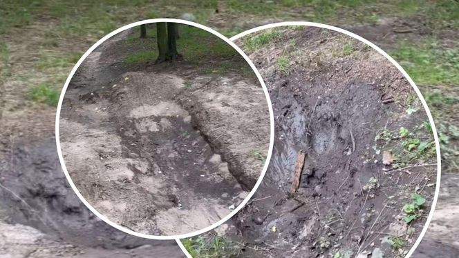 Urządzili sobie tor przeszkód w zabytkowym parku