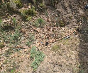 Mateusz miała tylko 20 lat, zginął w drodze do pracy