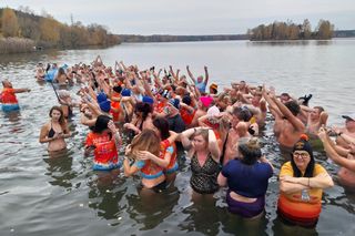 Morsy wróciły nad Chechło! Pierwsze wejście do wody już za nimi - zdjęcia