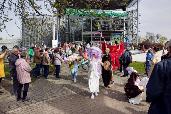 Gliwicka palmiarnia ma 100 lat! Jubileusz świętowano hucznie i na wesoło