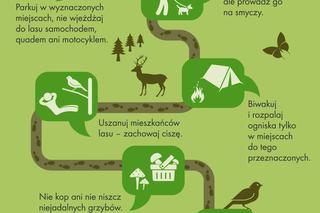 Survival i bushcraft w polskich lasach. Zobacz, gdzie możesz uprawiać swoje hobby