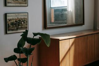 Rośliny we wnętrzu