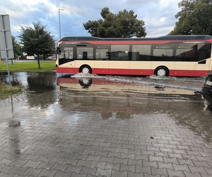 Gronowo po ulewie