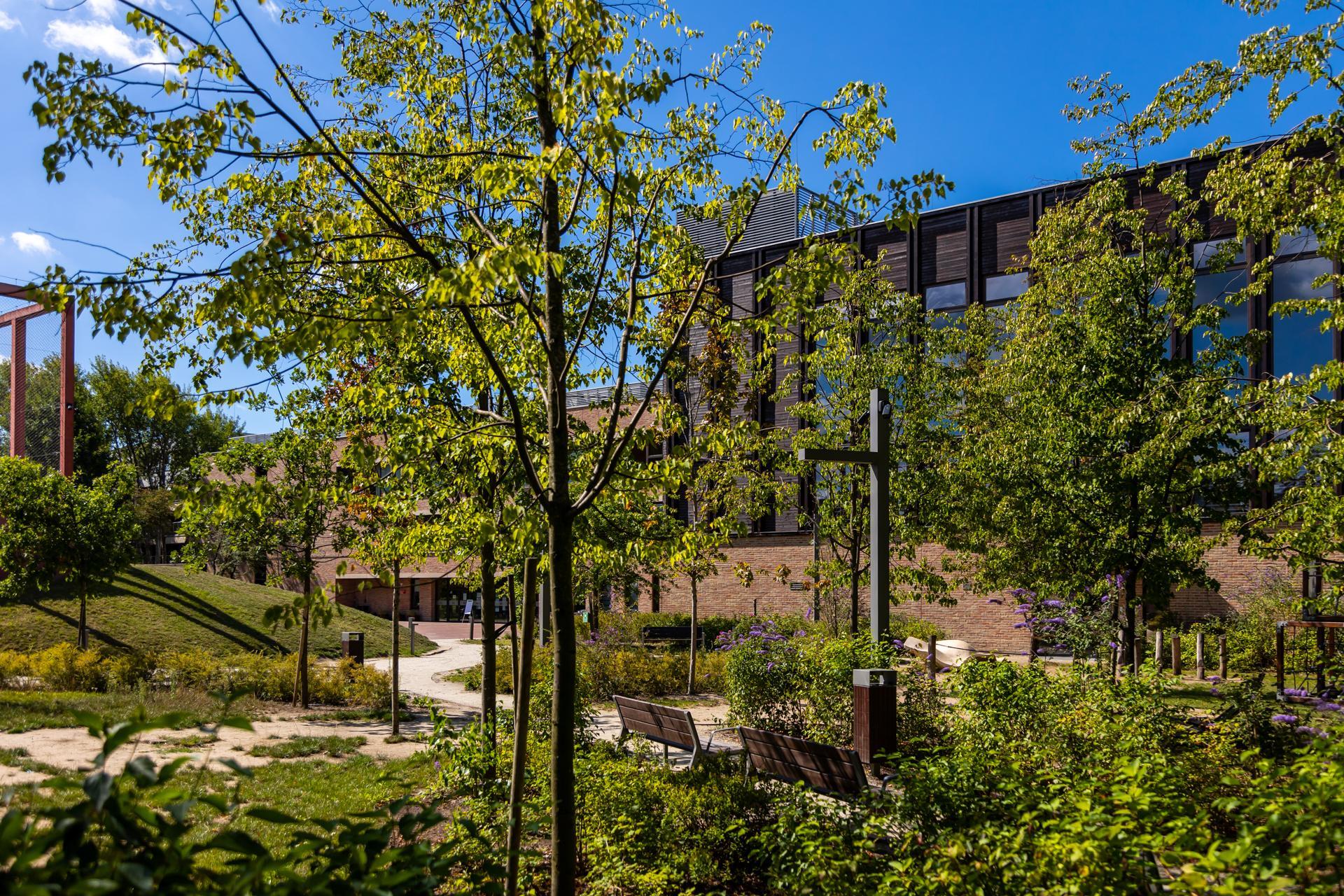 Szkoła w Wilanowie - nowe zdjęcia