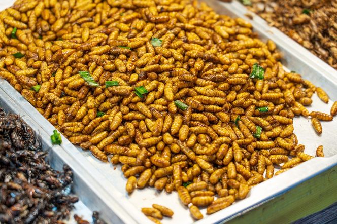 Deep-Fried Silk Worms (Hon mhai)