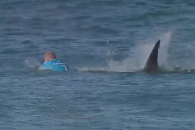 Mick Fanning zaatakowany przez rekina
