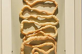 Poznaj ciało w szczegółach