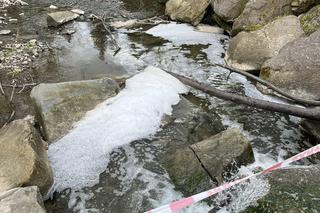 Południe Polski powtórzy historię Odry? W ciągu kilkudziesięciu dni wymarło pięć rzek