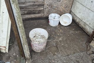 Dramat w Pruszkowie. Przetrzymywał zwierzęta w skandalicznych warunkach. Właściciel próbował się ich pozbyć