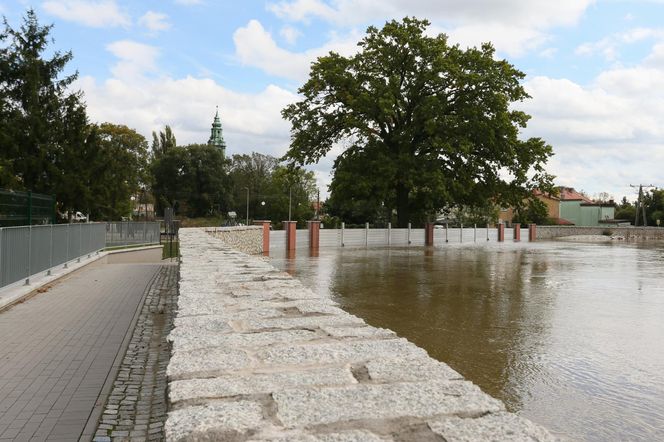 Fala kulminacyjna przepływa przez województwo lubuskie. Tak wygląda Krosno Odrzańskie