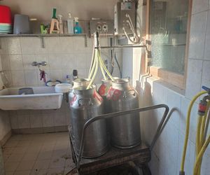 Roter Hahn: Nowoczesna agroturystyka zamiast hotelu – tu bije prawdziwe serce Południowego Tyrolu