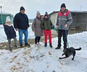 Schronisko dla bezdomnych zwierząt w Henrykowie prosi o słomę [ZDJĘCIA]