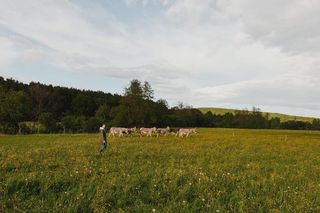 Farma Osiołkowo w gminie Nowa Słupia