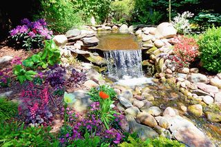 Założenie ogrodu 500-1000 m² w 2026. Ile kosztuje usługa założenia ogrodu?