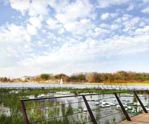 Zagospodarowanie plaży nad Jeziorem Maltańskim 